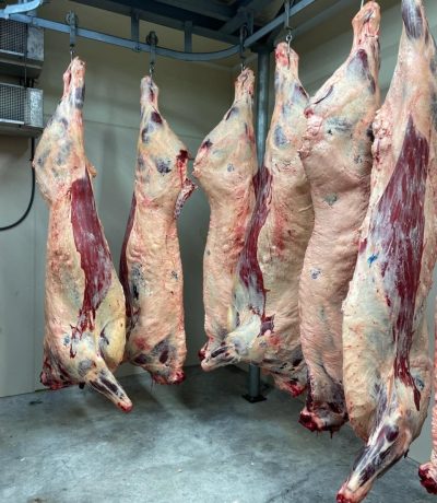 Waynes Country Fresh Meats Custom Butchering